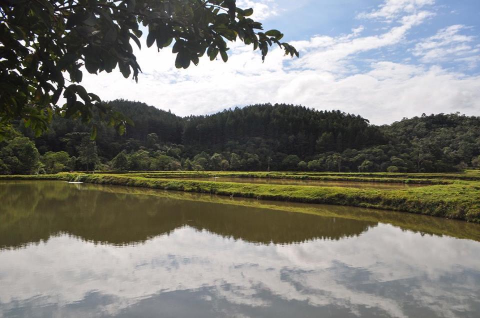 Pousada Lindnerhof Rio dos Cedros Luaran gambar